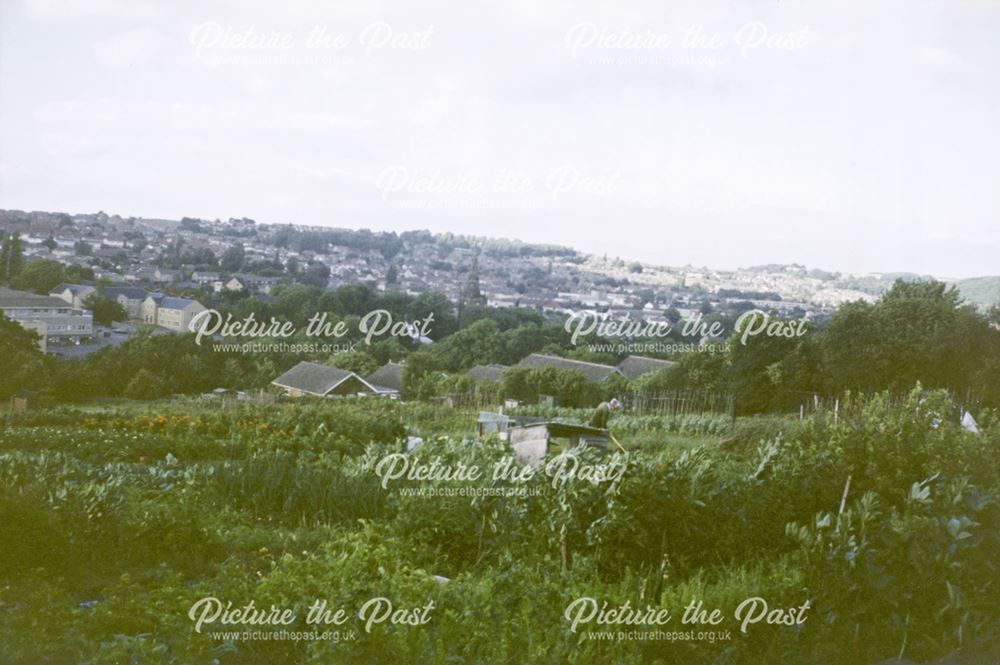 The Allotments, top of Gomersall Lane, Dronfield, c 1995?