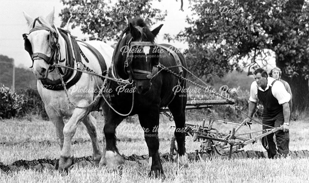 Eric Madeley in a ploughing match at Elvaston Castle