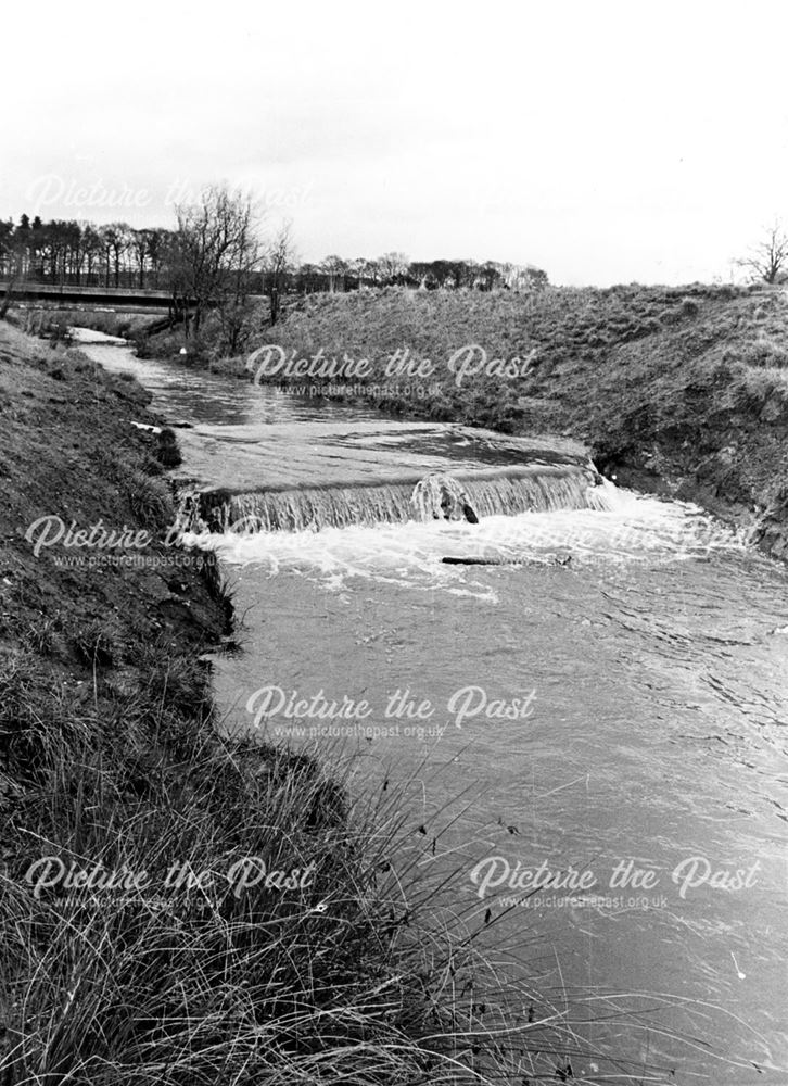 Lees Brook, Chaddesden Park