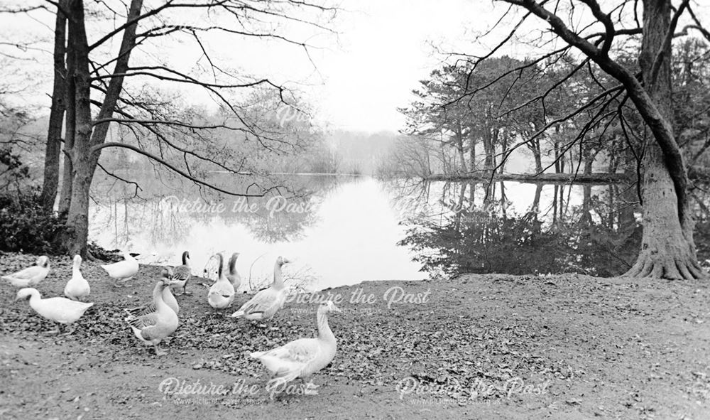 Allestree Lake