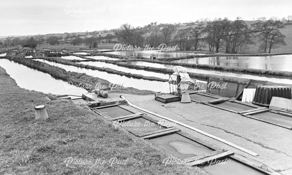 Trent Fisheries, Mercaston