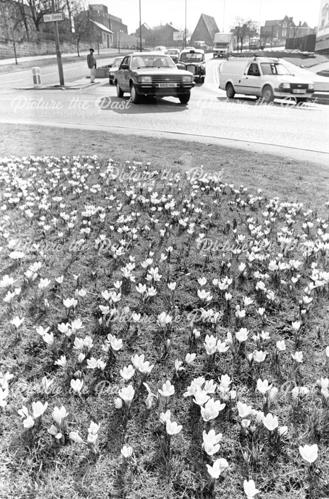 Roundabout on Bradshaw Way