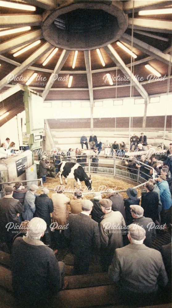 Interior of the Auction Room at the Cattle Market, Chequers Road