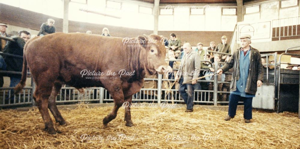 Interior of the Auction Room at the Cattle Market, Chequers Road