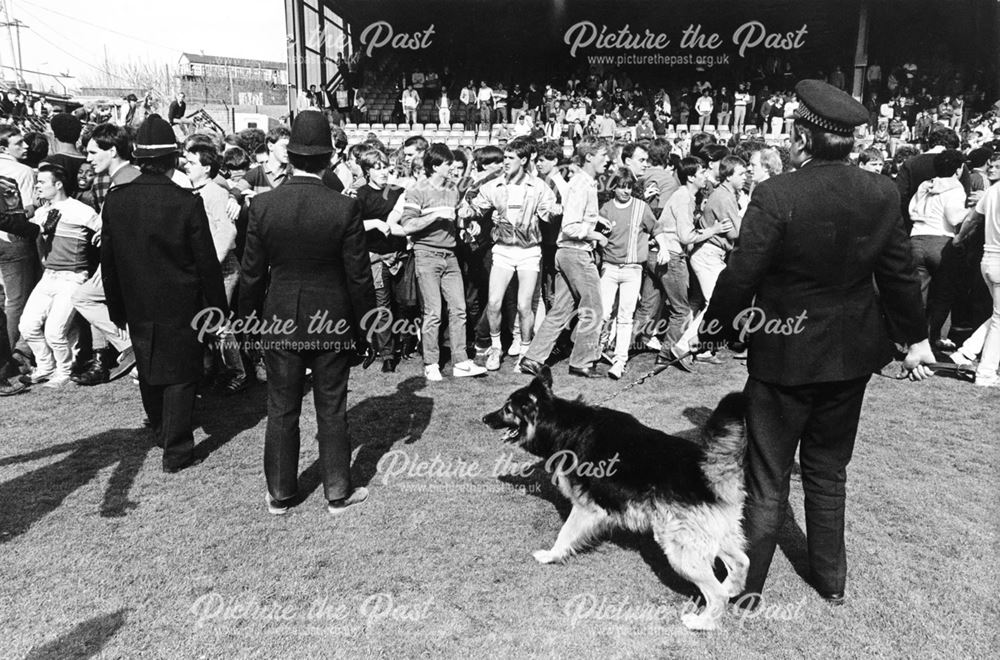 Police Dog Handlers try to Restore Order at Derby County vs Shrewsbury Town, 1984