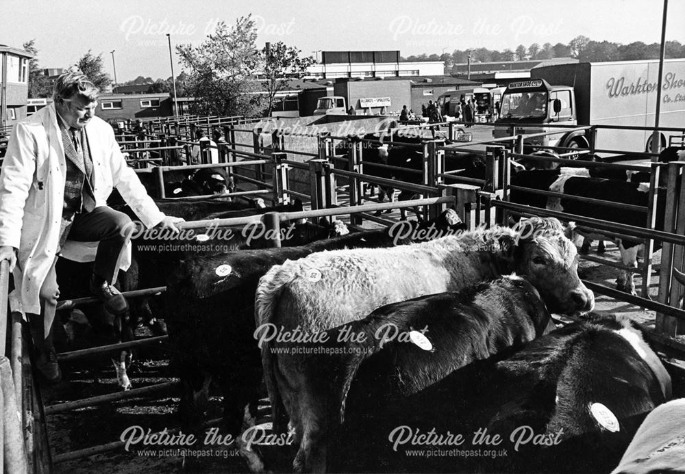 Derby Cattle Market, off Meadow Road