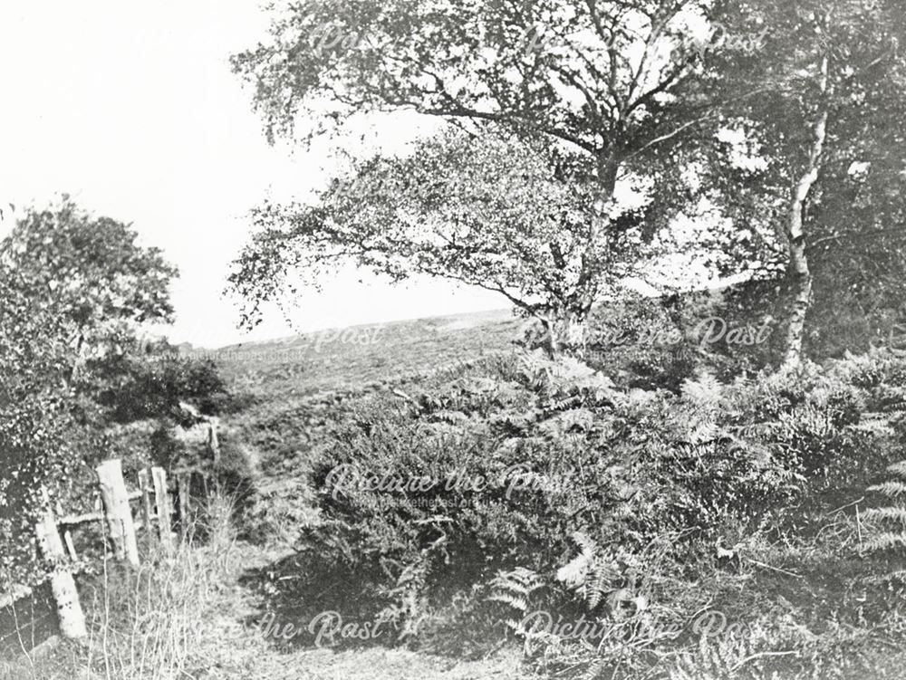 Path above Moor Lane Quarry, Little Eaton, c 1960