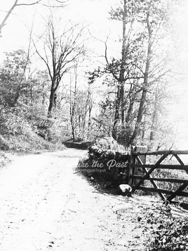 Vicarage Lane, Little Eaton, c 1910