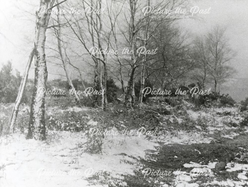 The Moors, Little Eaton, c 1910