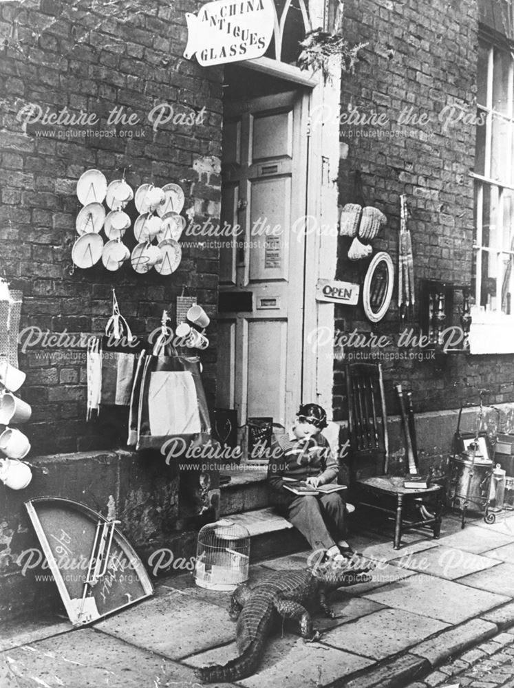 Crocodiles and Crockery, Derby, 1960