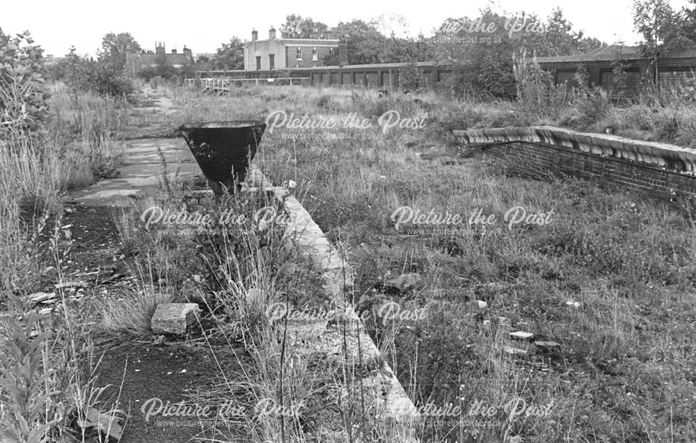 Overgrown Platforms of the Old Friar Gate Rail Station, Derby, 1980