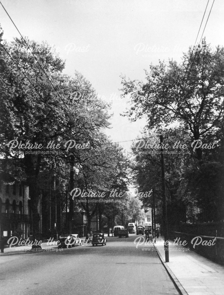 Tree lined view of London Road