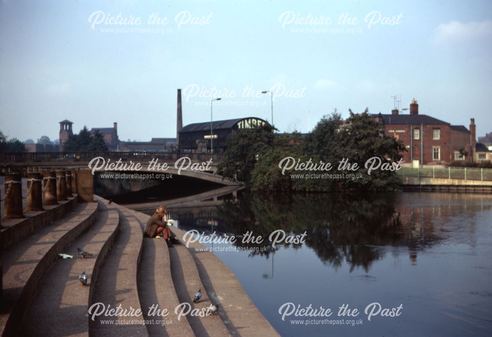 View of Exeter Bridge, looking from the River Gardens