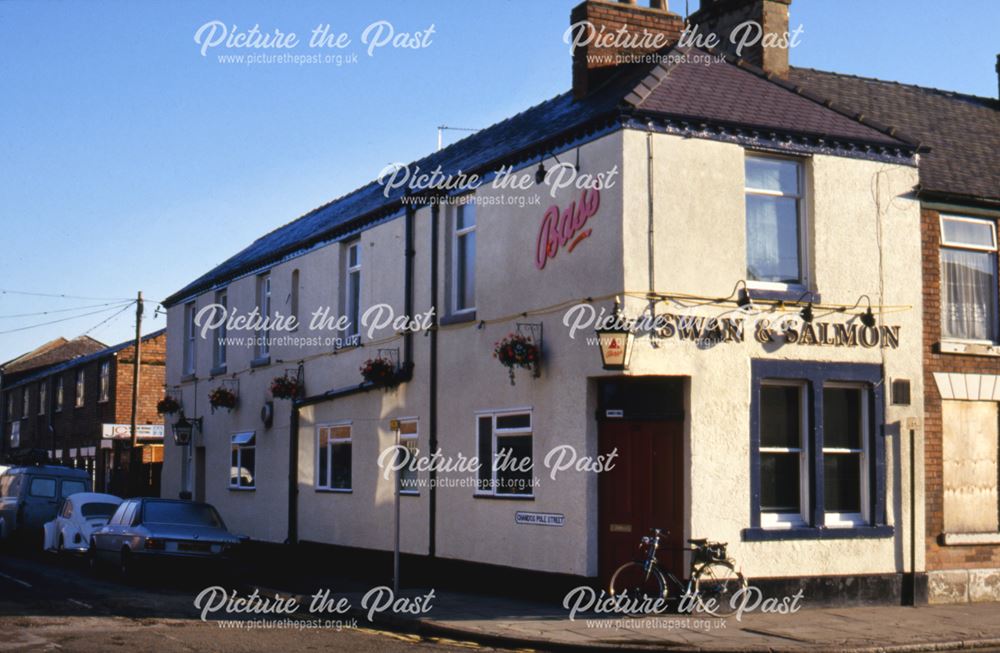 The Swan and Salmon Public House