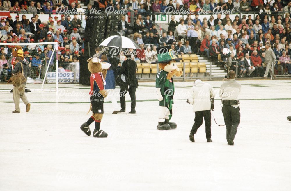 Novelty match between football mascots