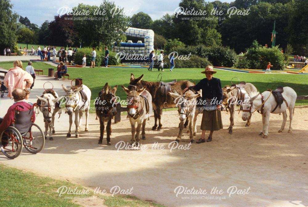 Markeaton Park donkeys, Derby, 1996