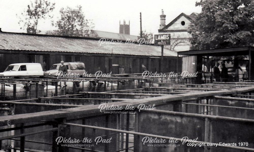 Derby Cattle Market 